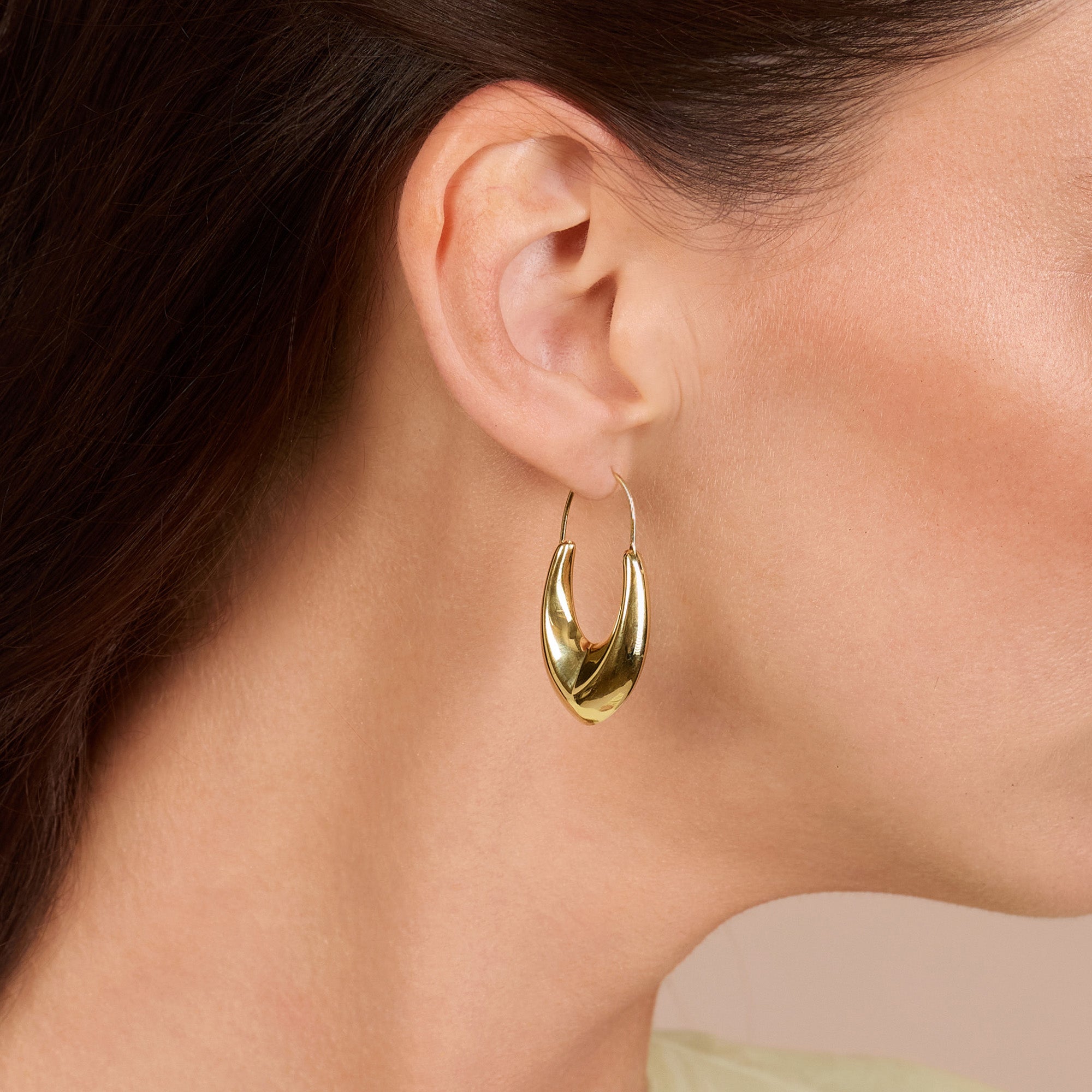 Lustro Shine Earrings