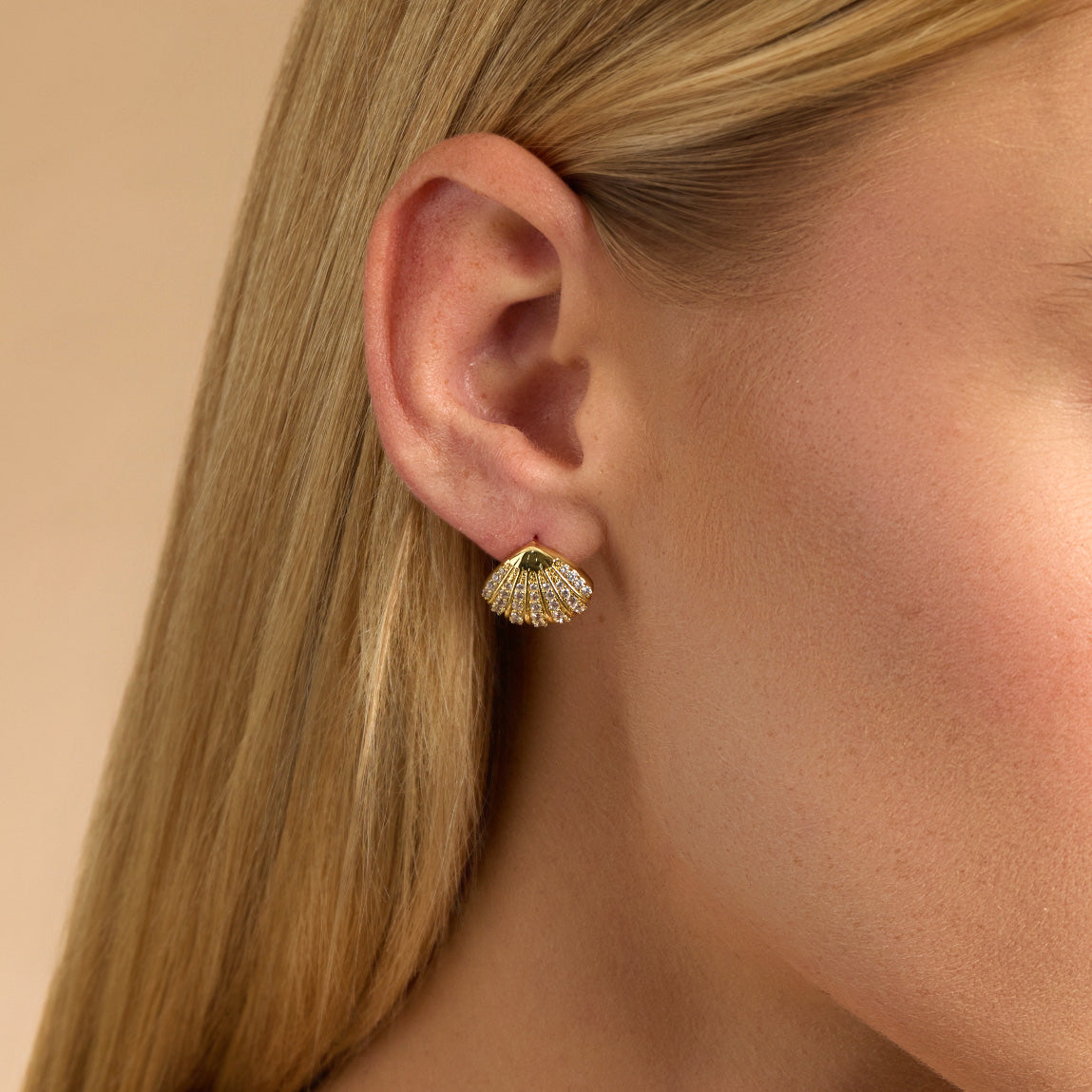 Solstice Shell Stud Earrings