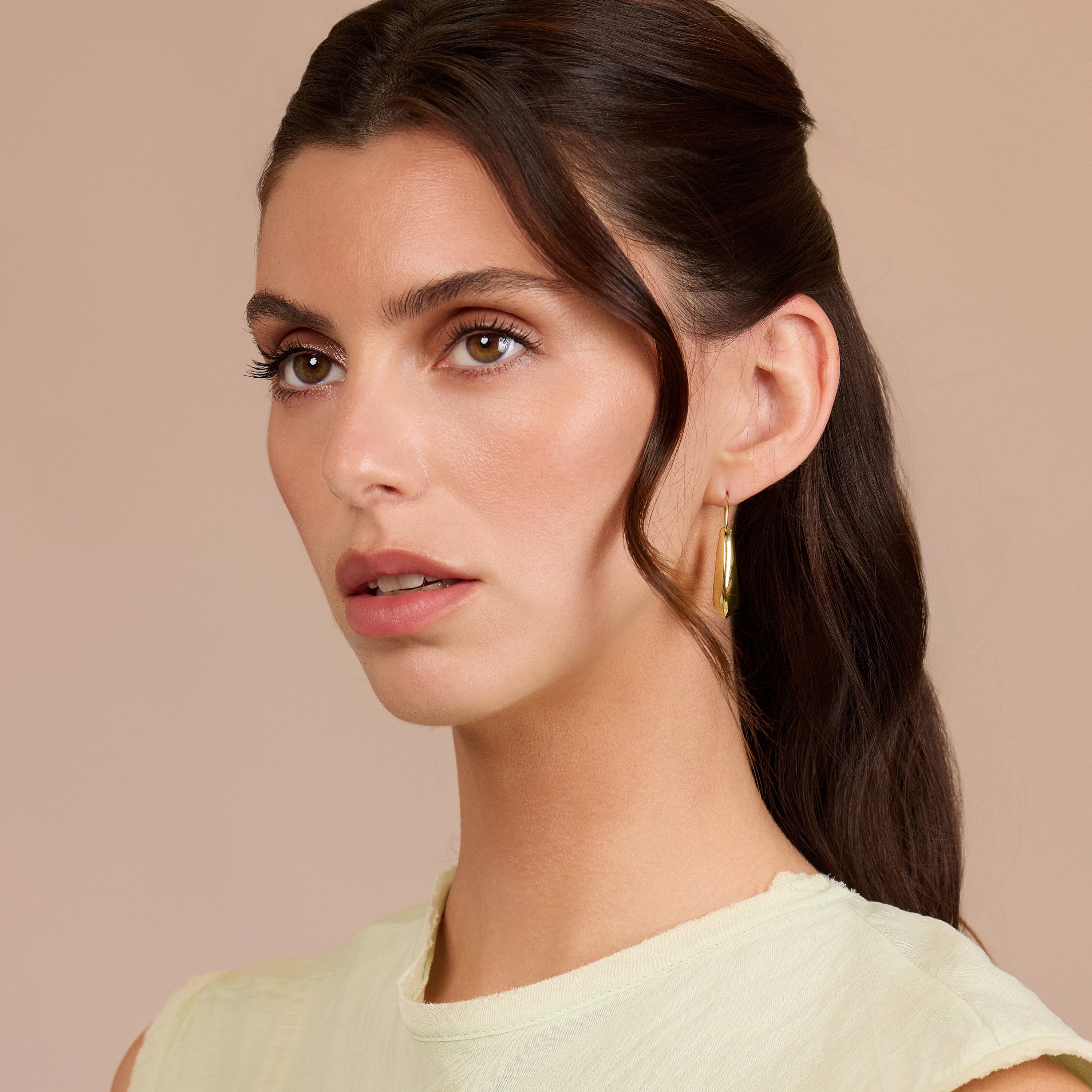 Lustro Shine Earrings