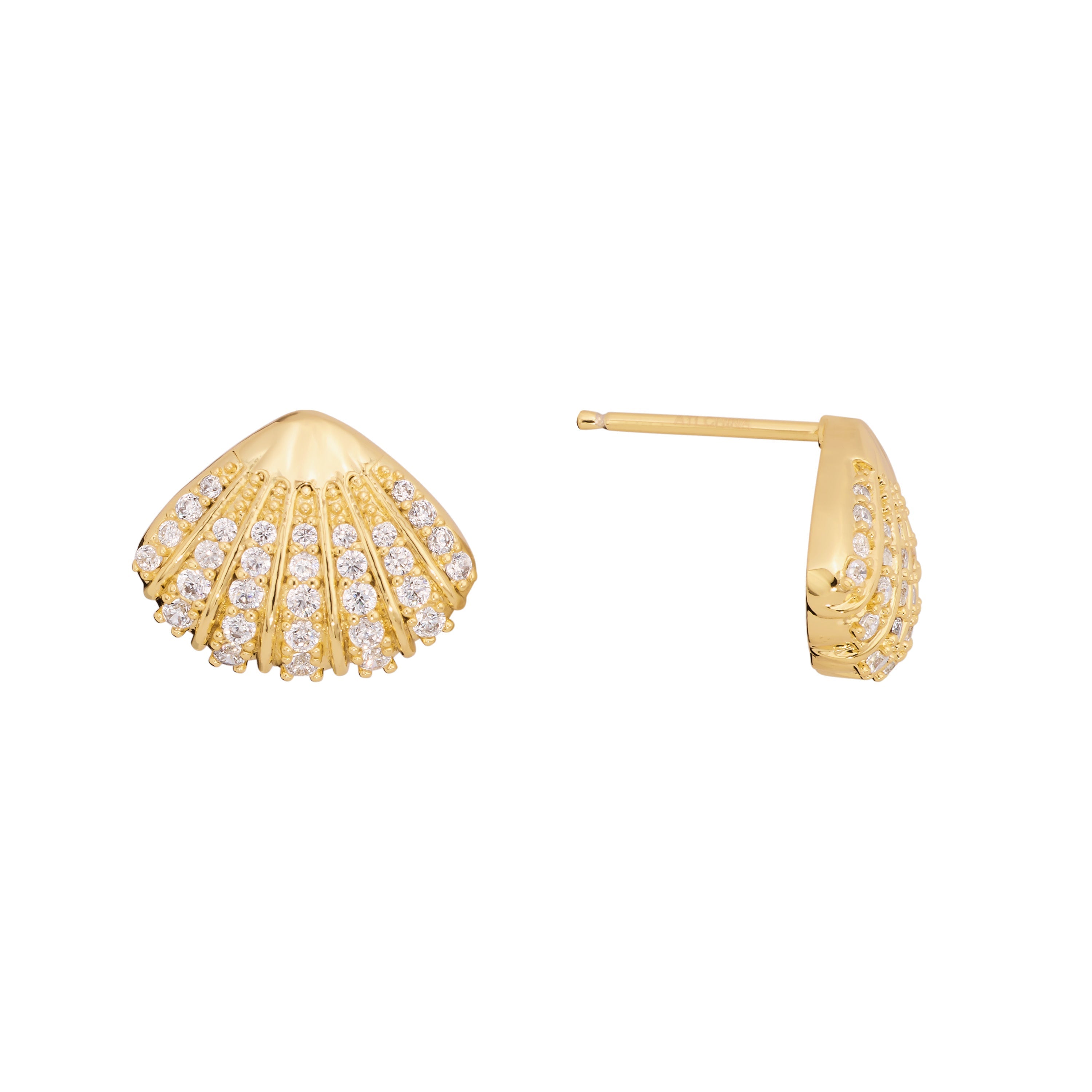 Solstice Shell Stud Earrings