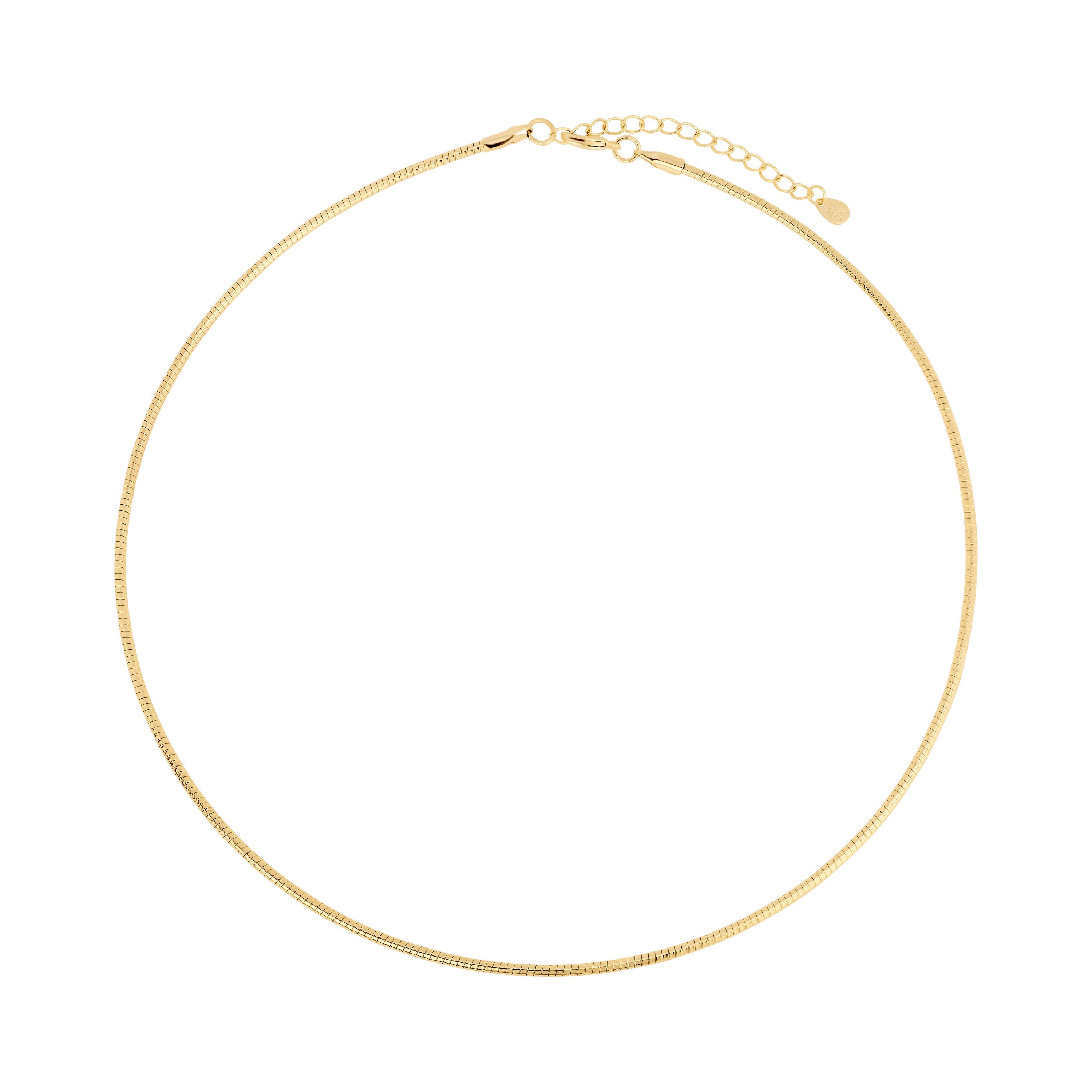 Charm Keeper Omega Necklace