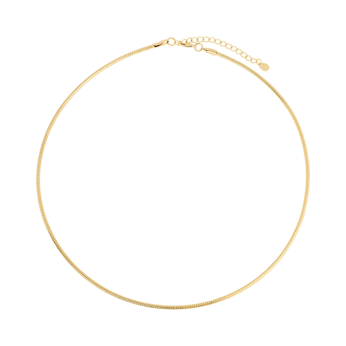 Charm Keeper Omega Necklace